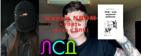 амф Богданович